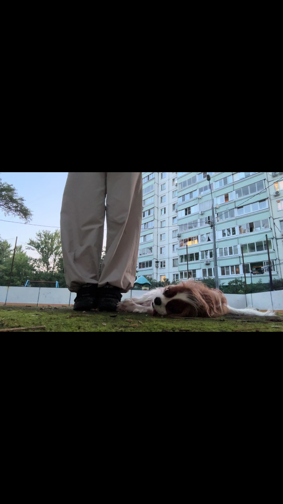 @Фаби🐶