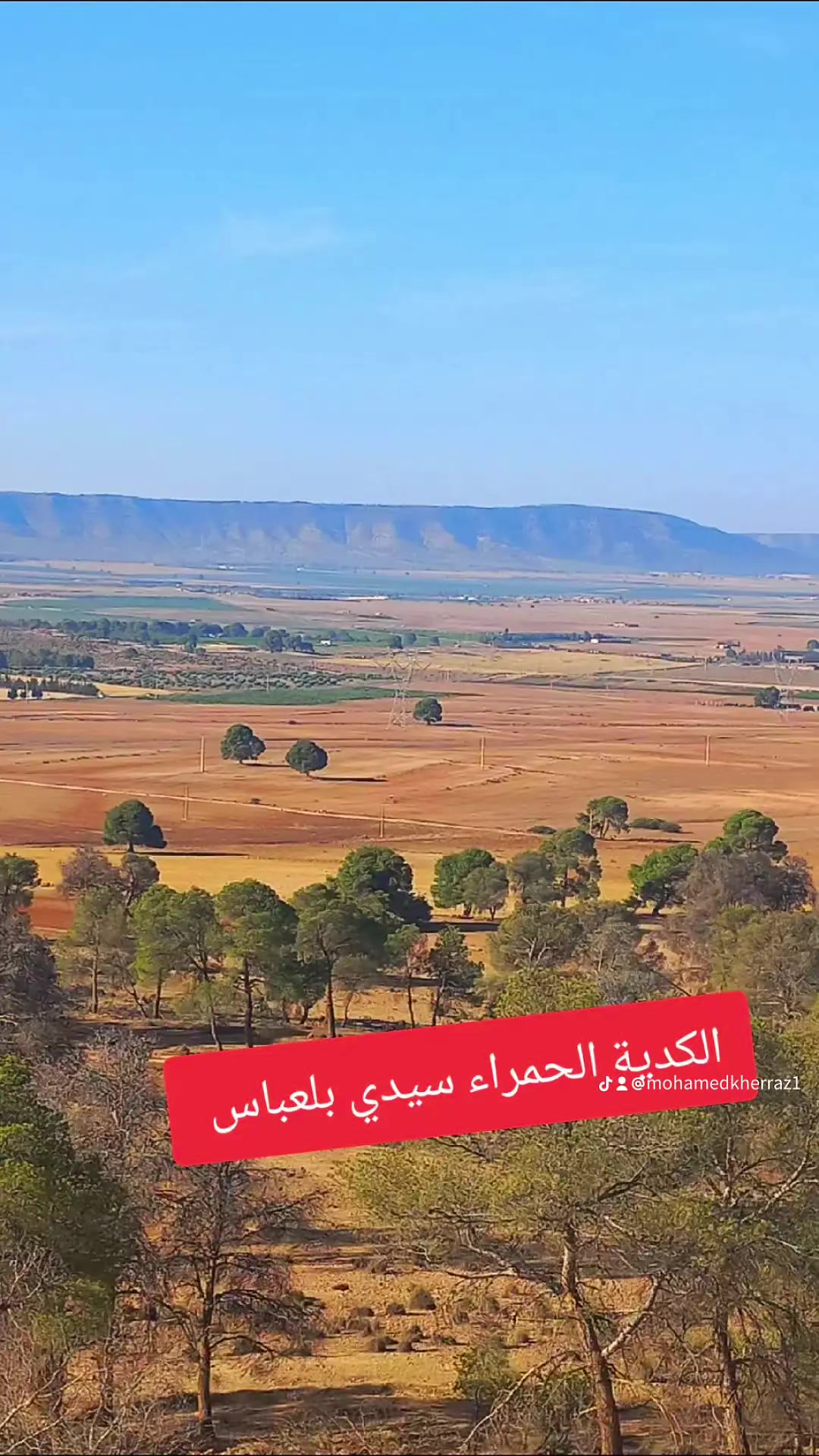 @محمد خراز 🇩🇿 ❤🤍💚