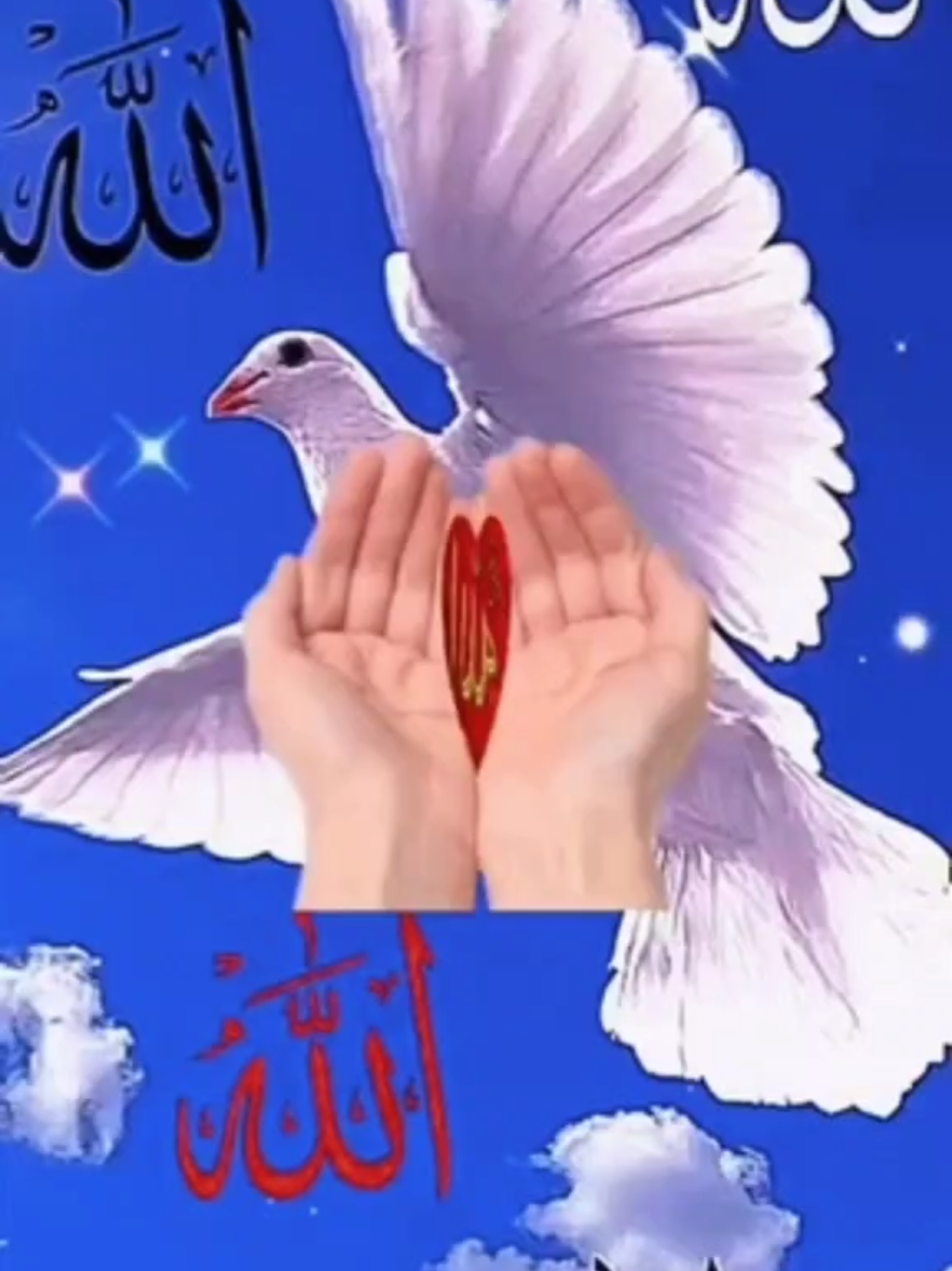 @ranaarbaz786