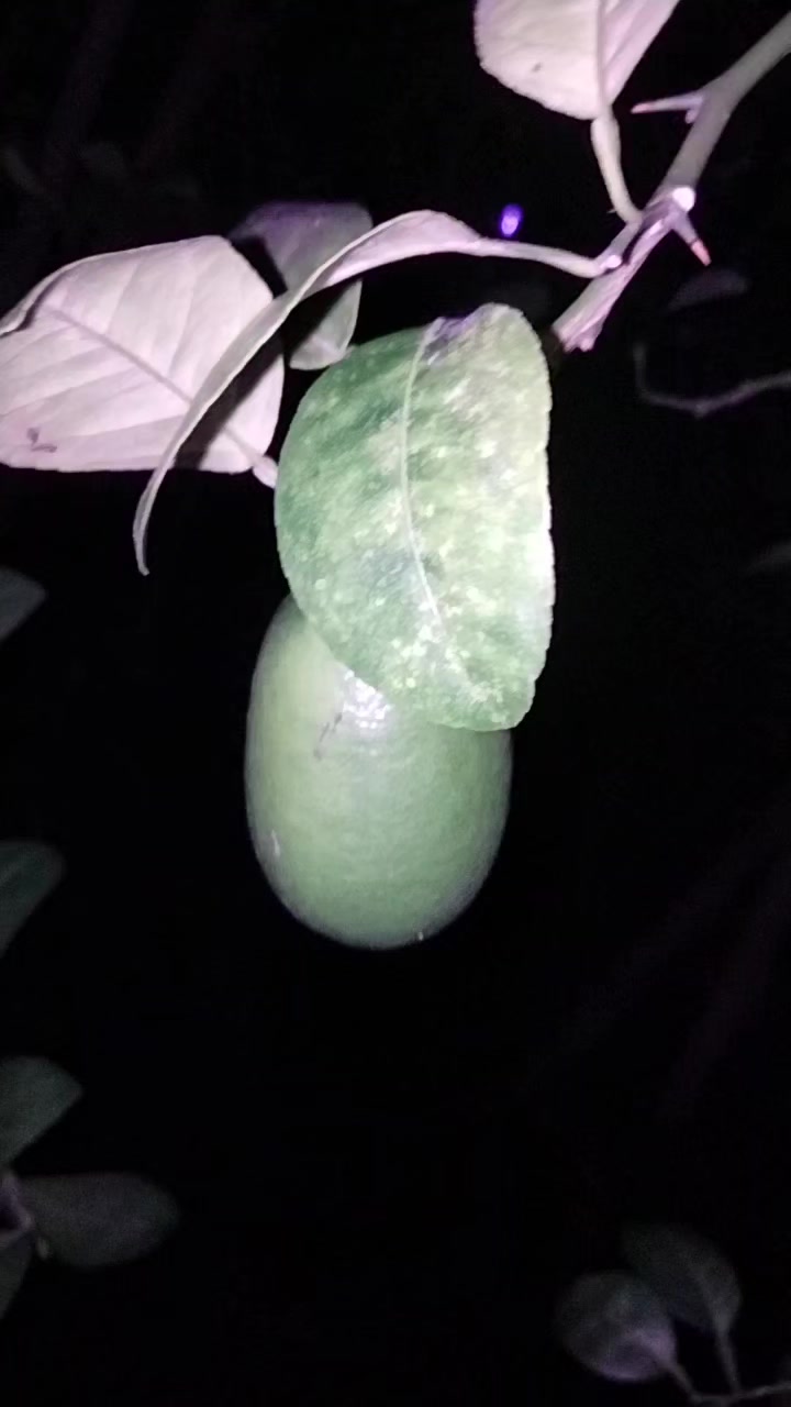 @S.A.777๐ซ
