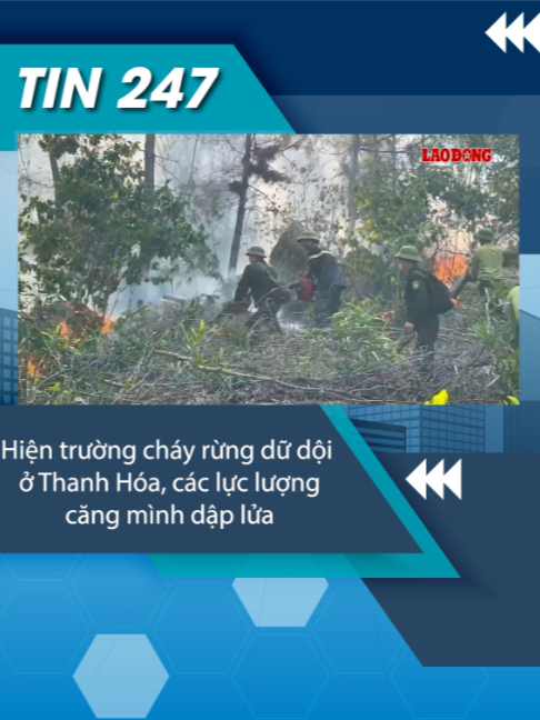 @Tin tức 24/7