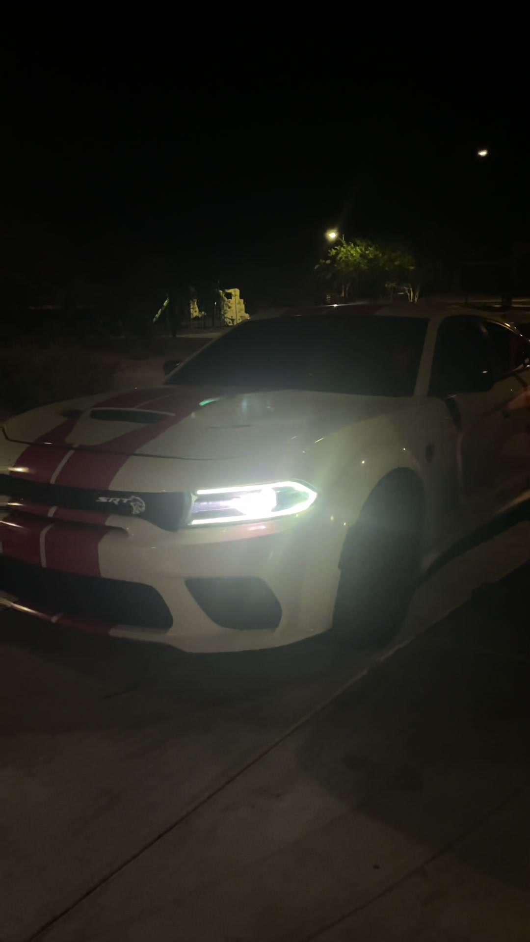 @Supercar🏎️JayDog 🐶🚦✨✨✨🥥🏝️