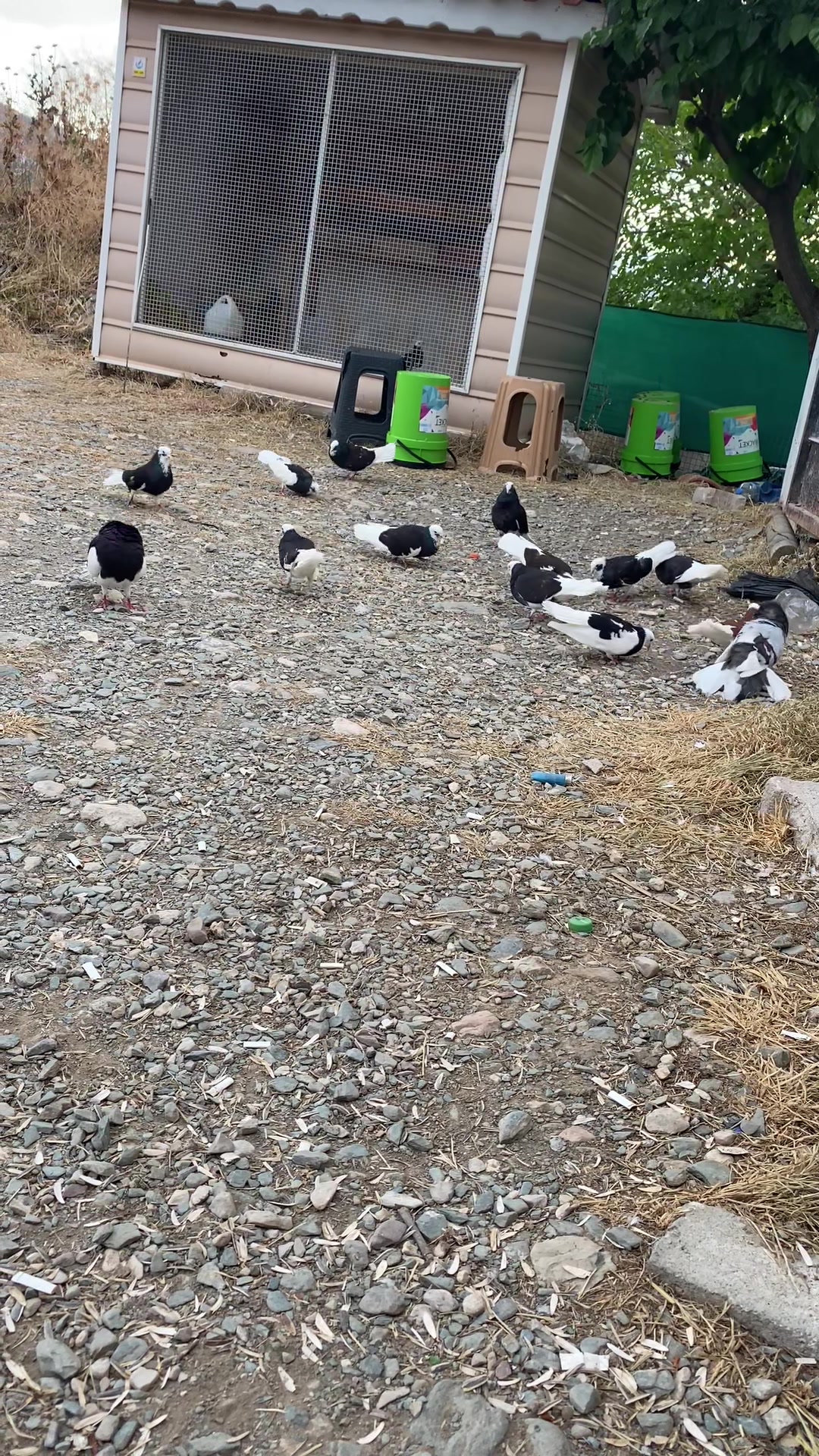 @Ramazan Kıvrak
