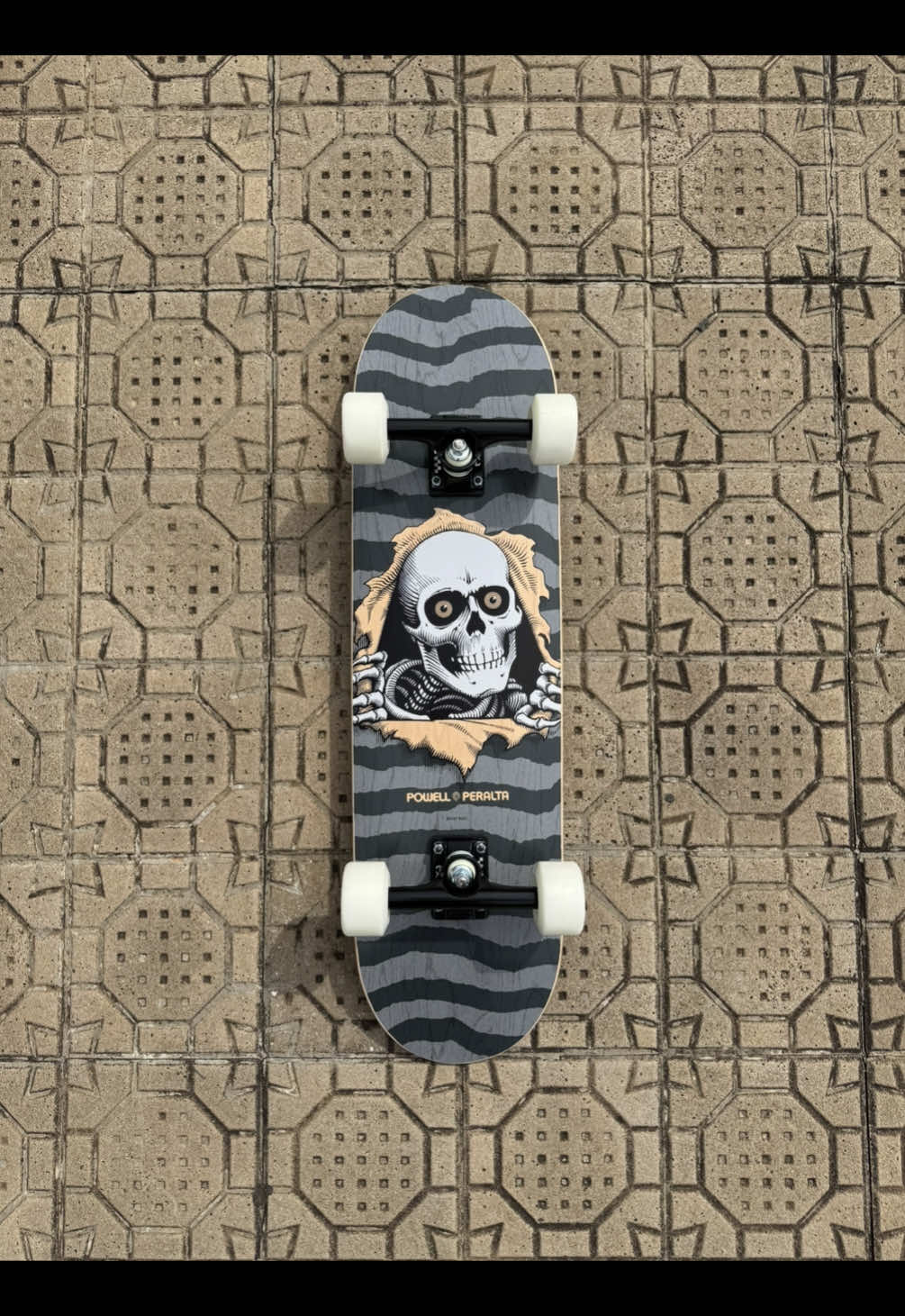 @Ever Skate Shop