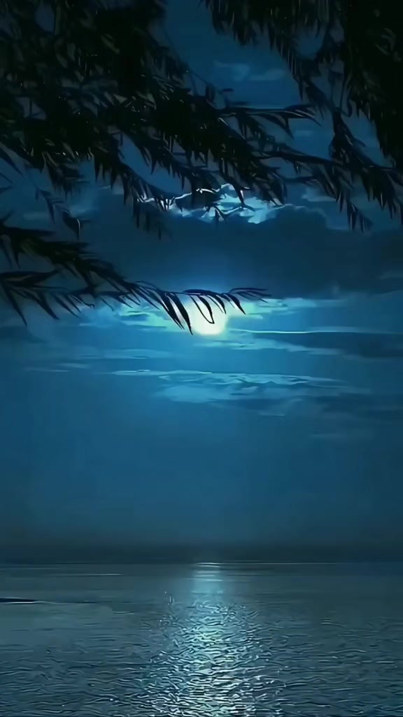 @kung_kaaa