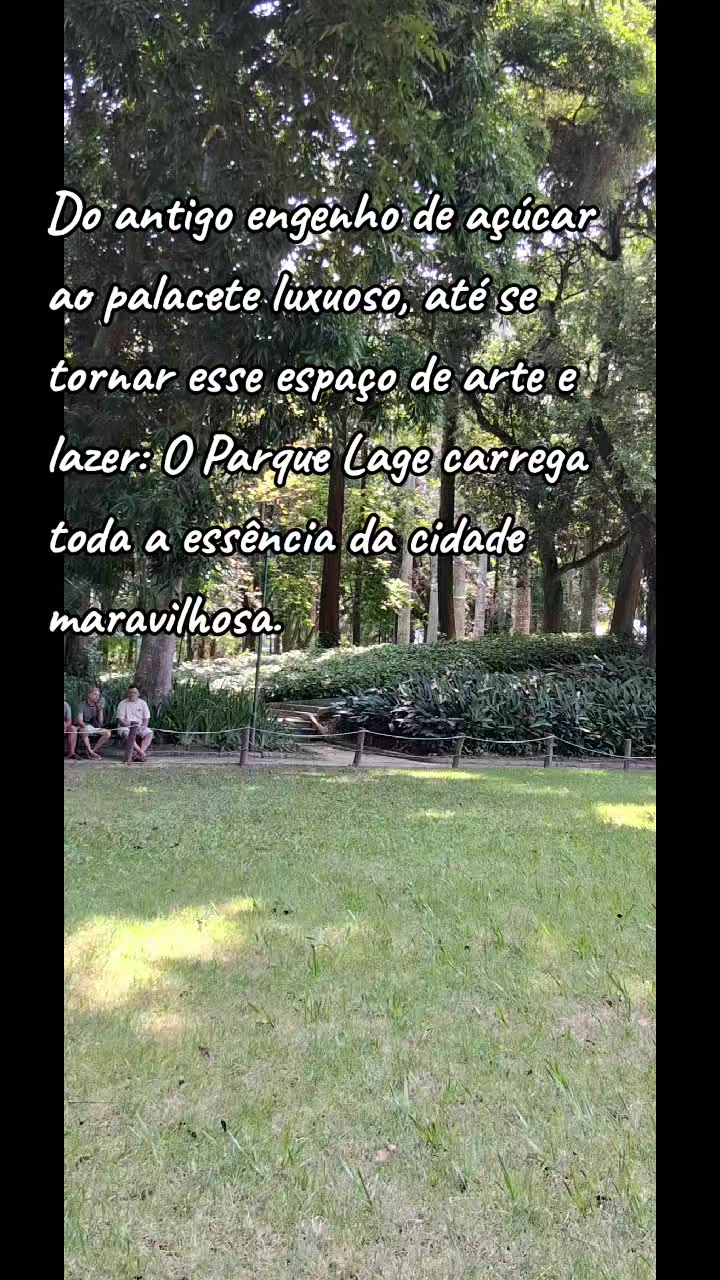 @@almadaamazonia
