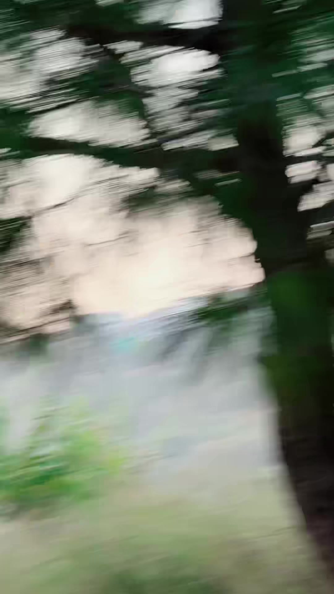 @❤️Waffa khan ♥️
