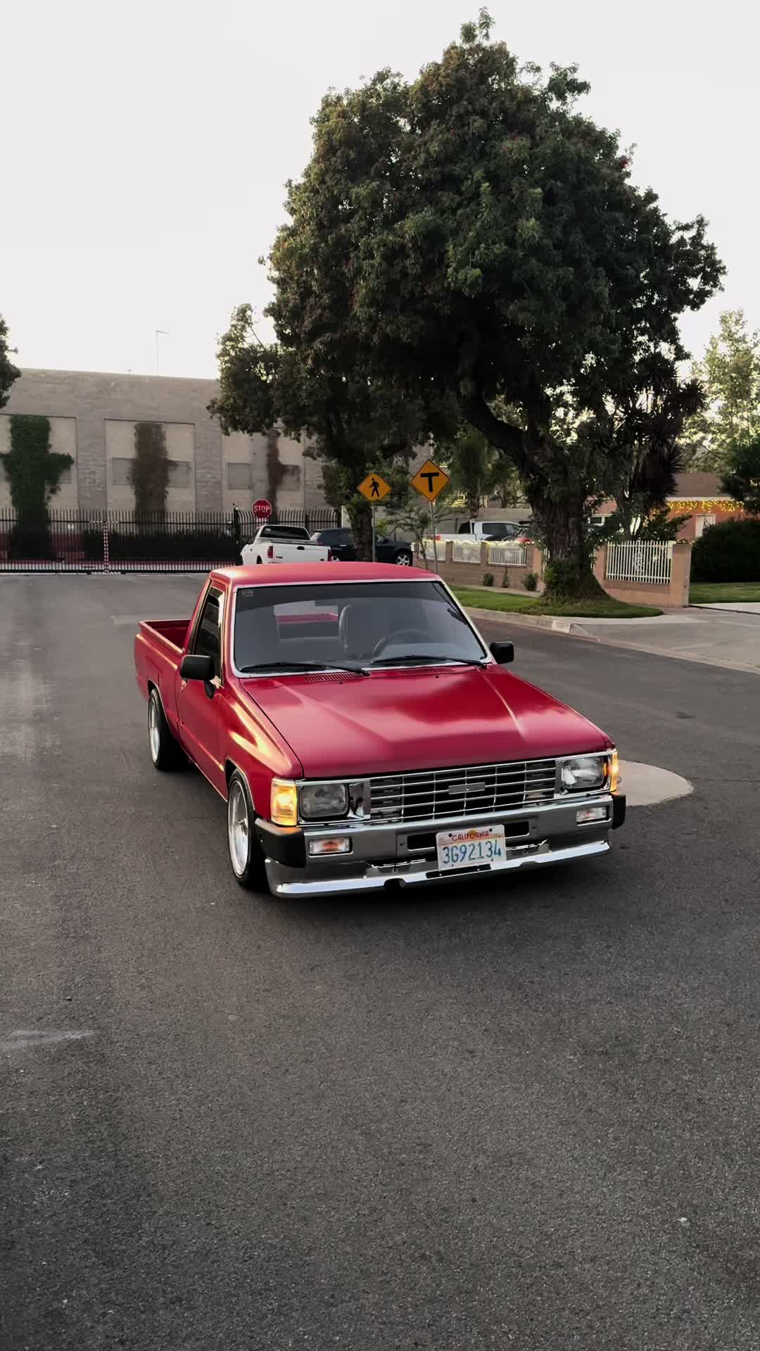 @castillo&rsquo;s_whipz