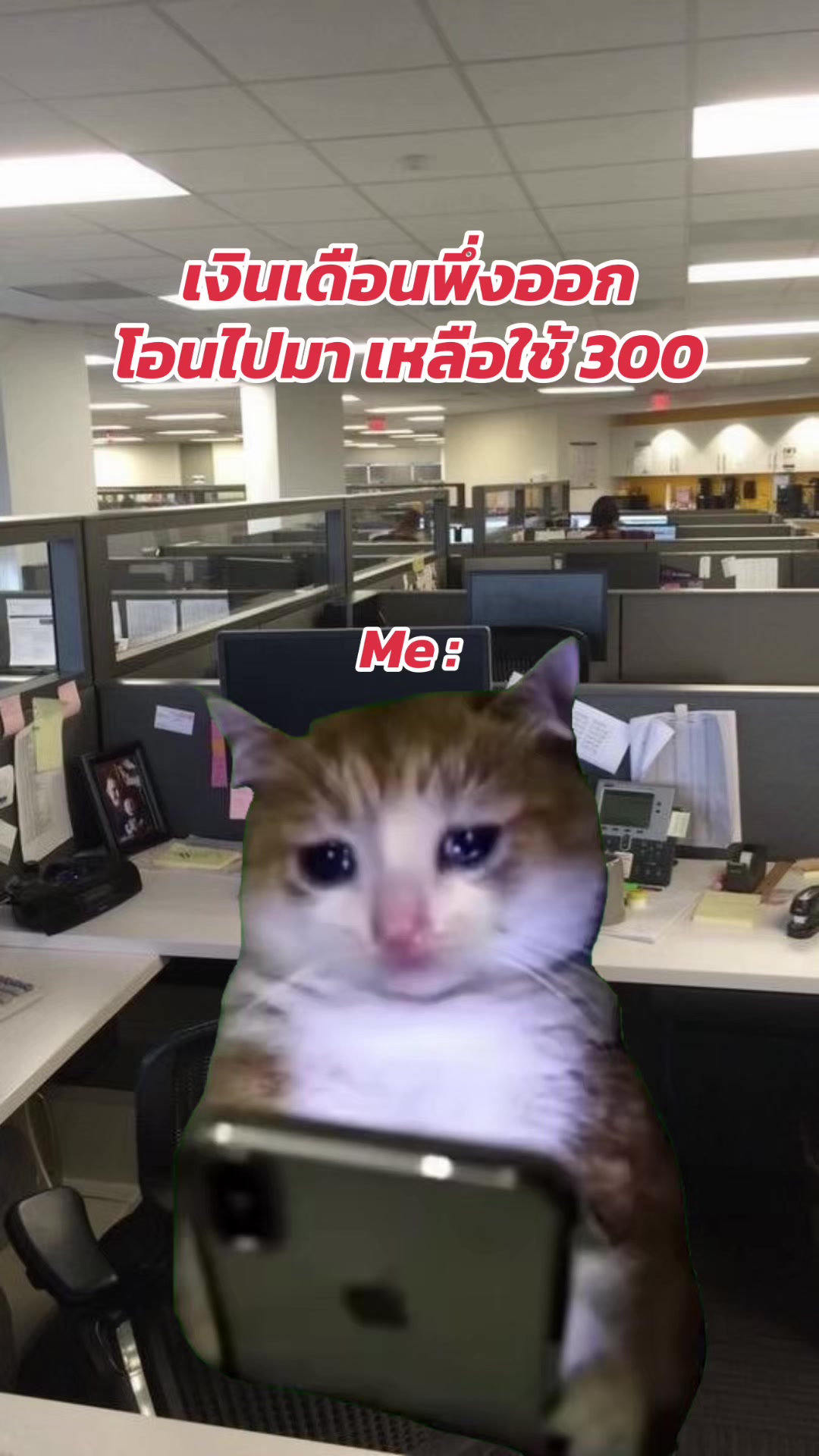 @ฮิปโปตด