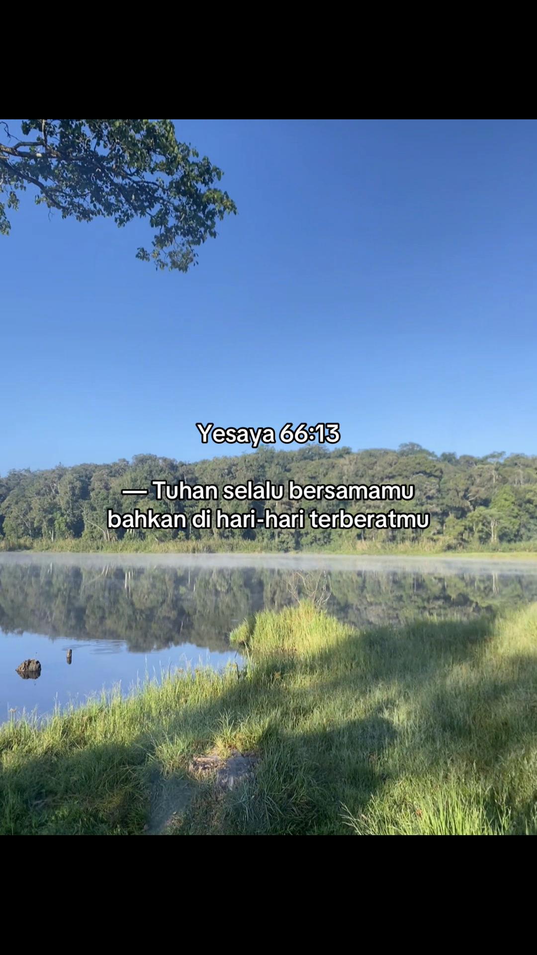 @Pro-tes-tan✝️