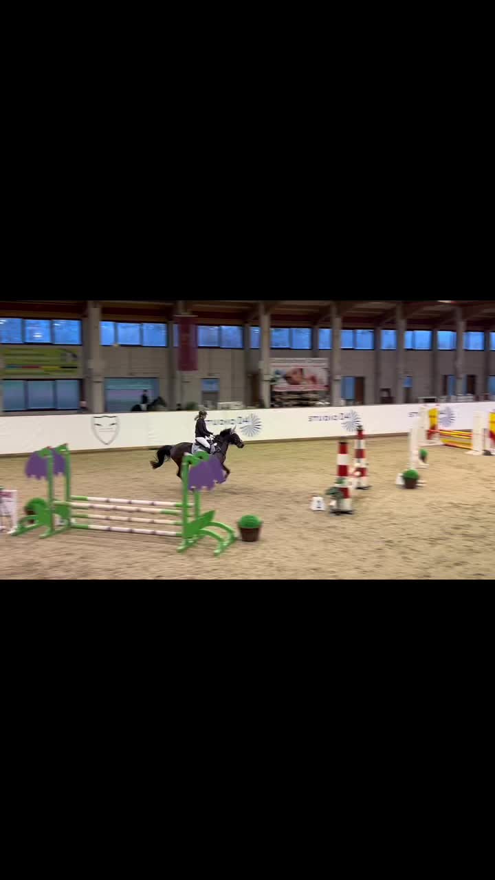 @springpony_donar