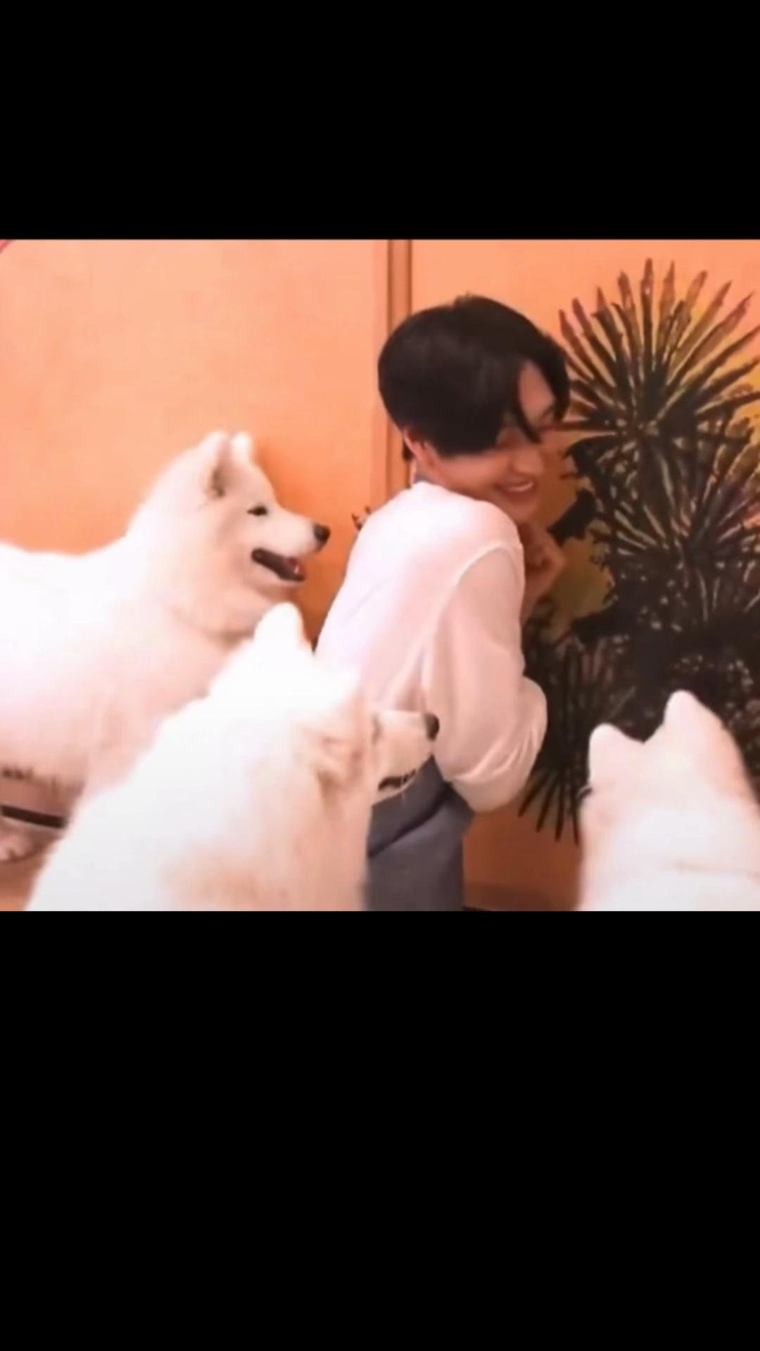 @oi