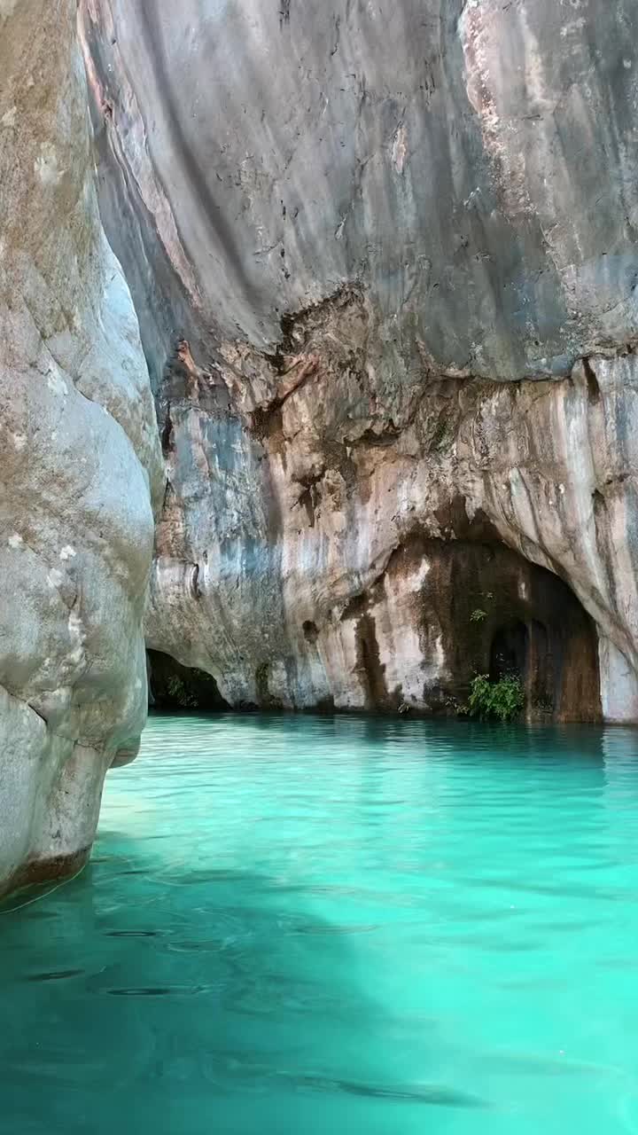 @Алина Блохина