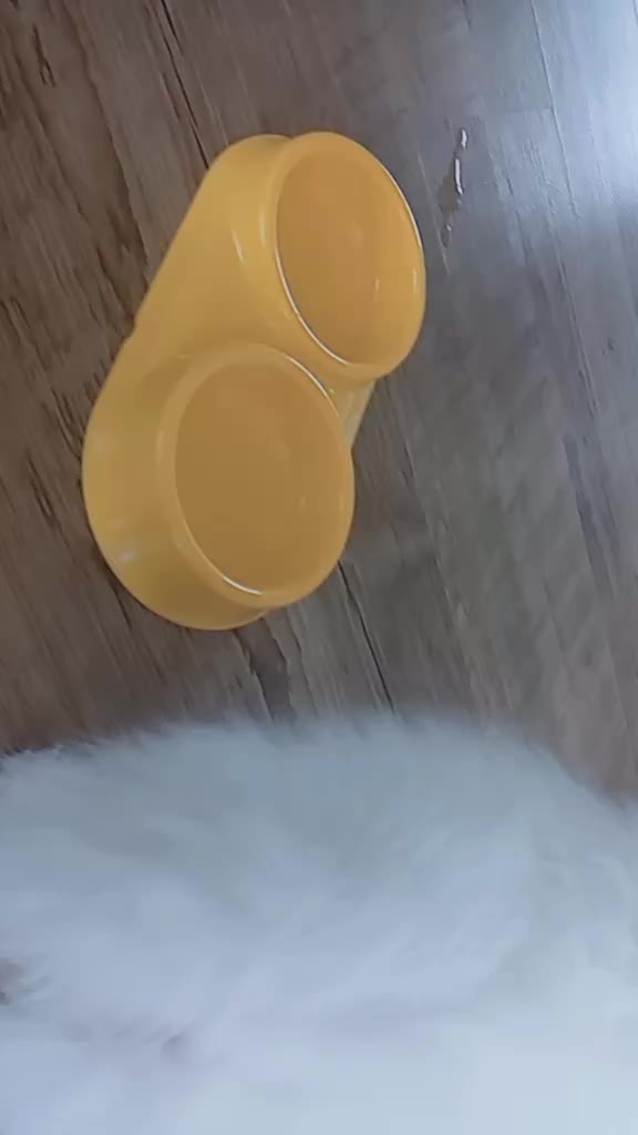 @♥가을이네♥