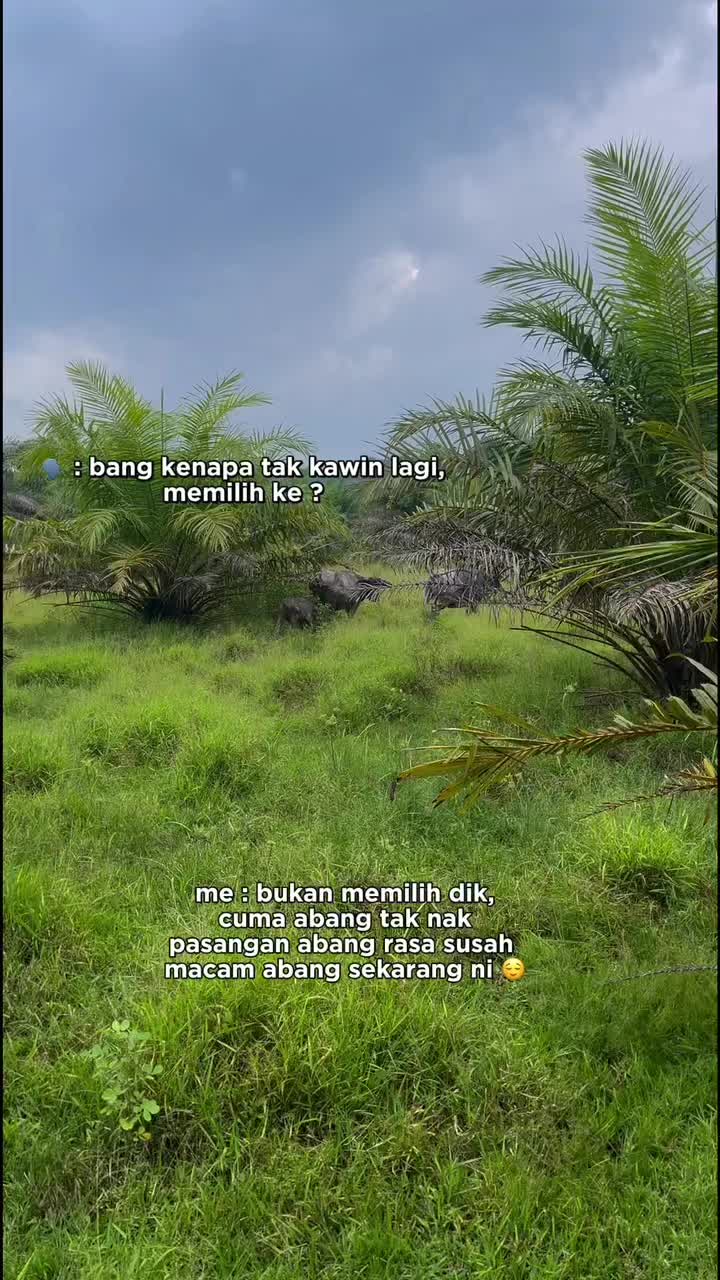@Mohd Shafiq