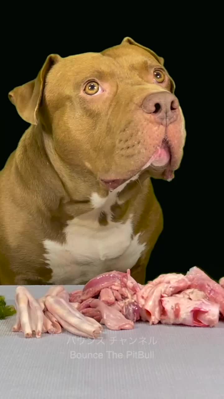@バウンスチャンネル