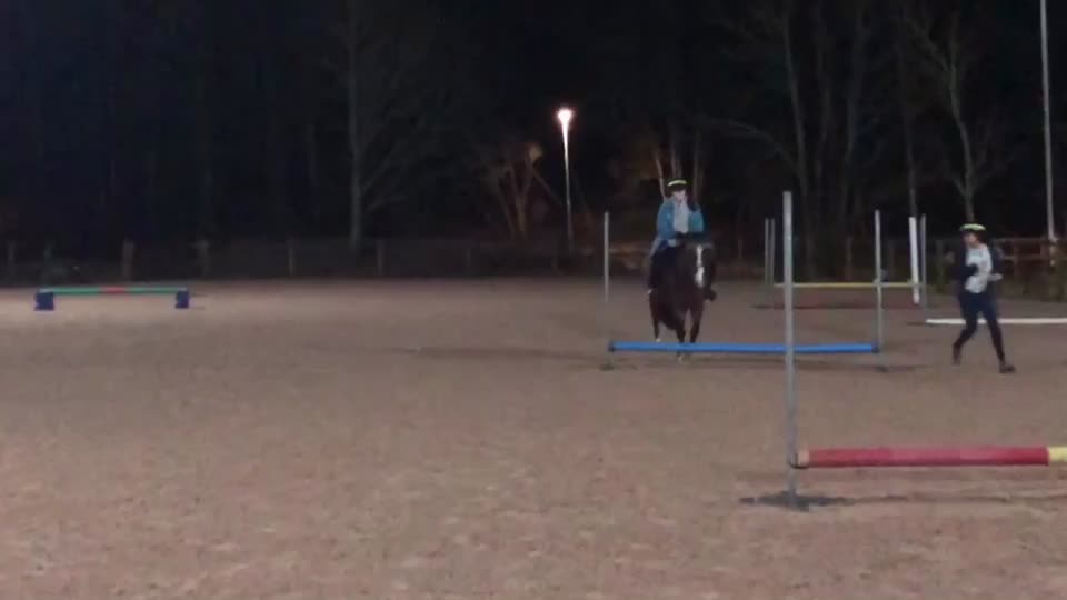 @•Equestrians•