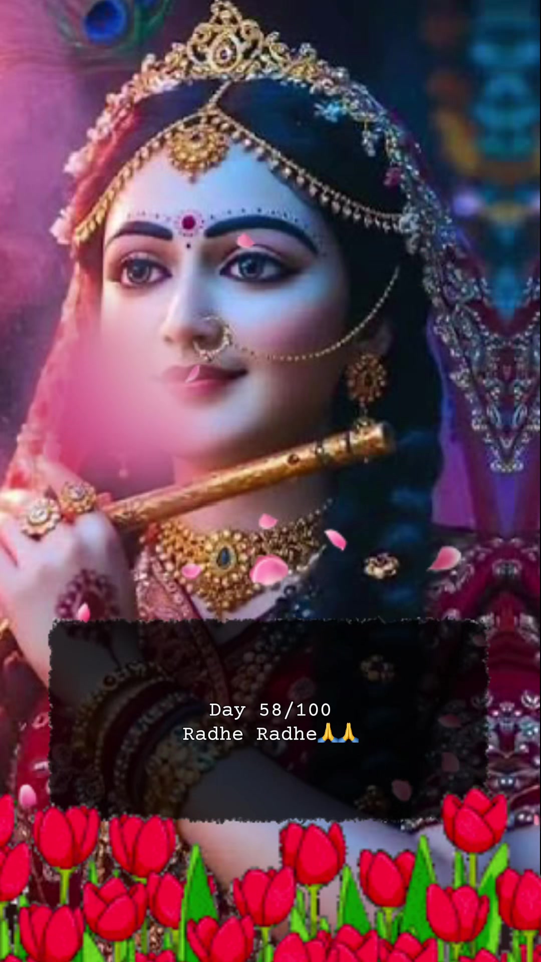 @RadheKrishna🦚🦚🙏🙏