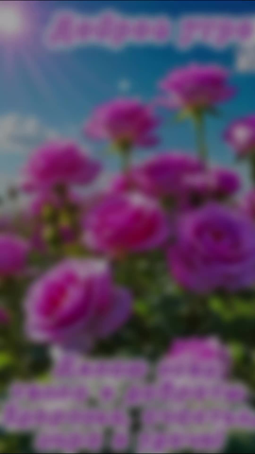@Ljuba