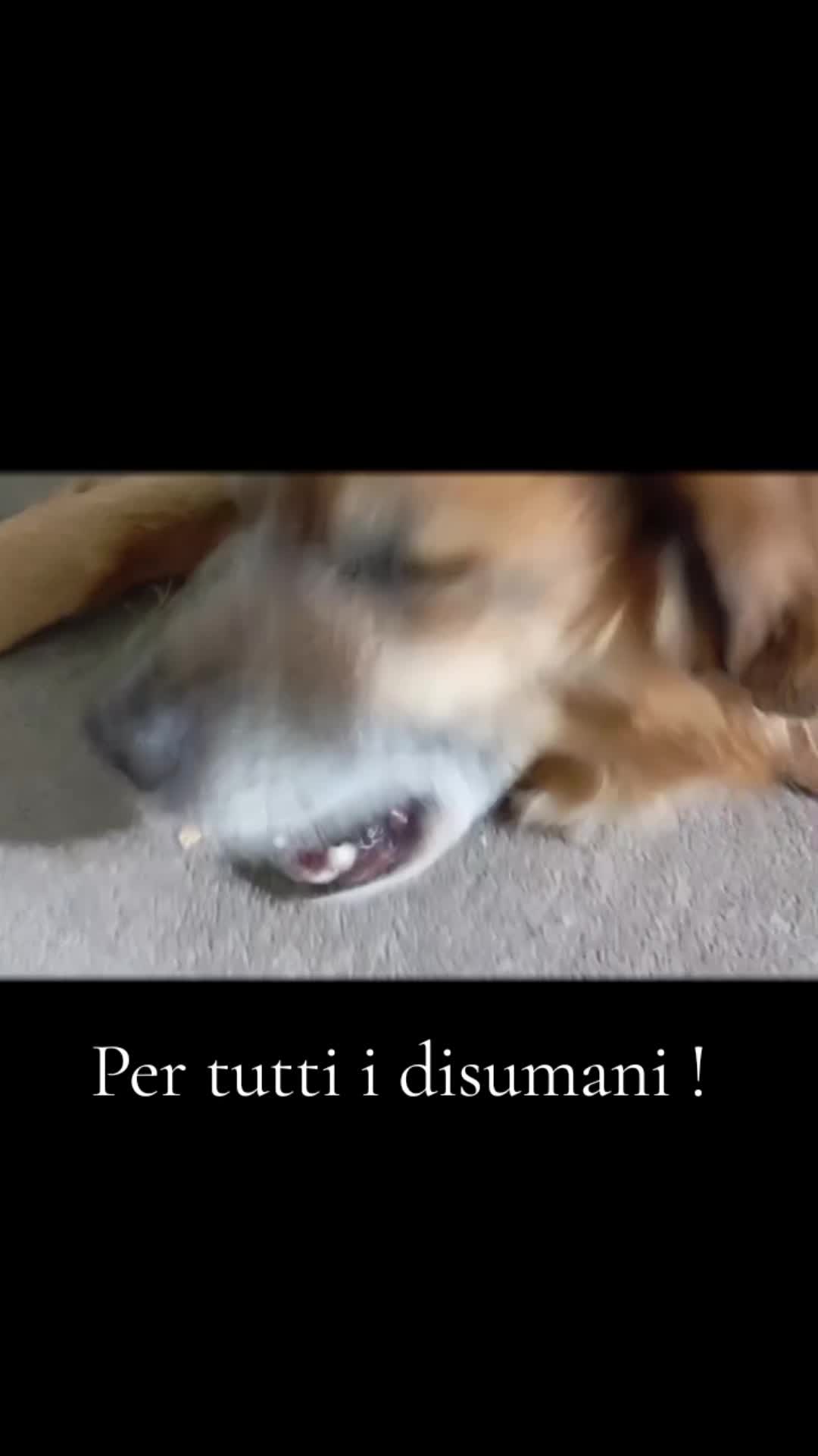 @Oxana Gromovaoxi