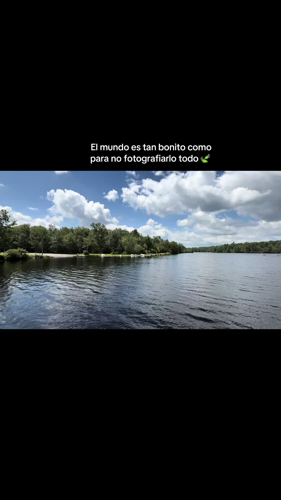 @Evelyn🦋