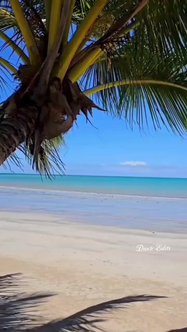 @๐ท๐๐๐ก๐-๐ธ๐๐๐ก๐ โ