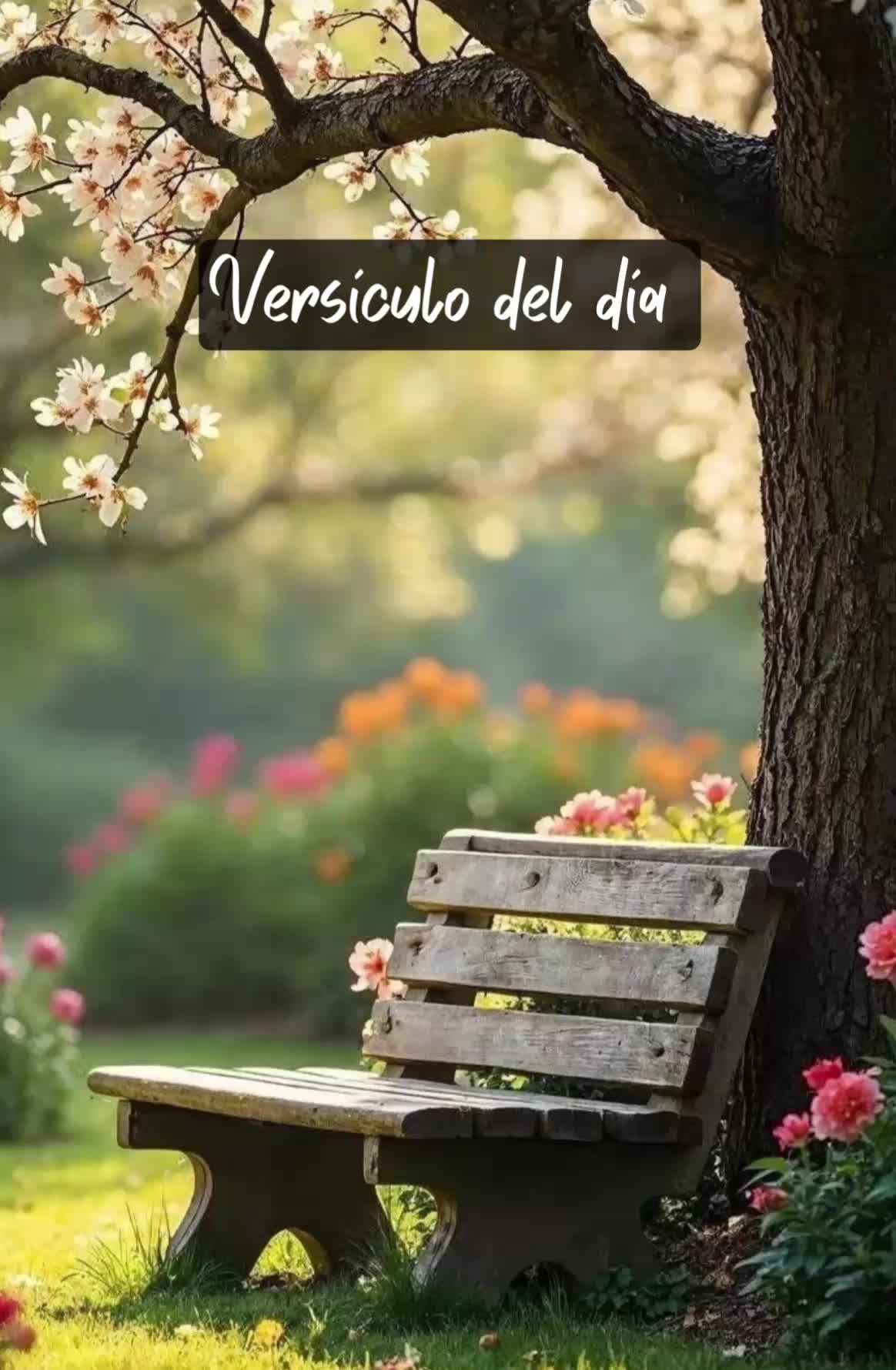 @Maya RR