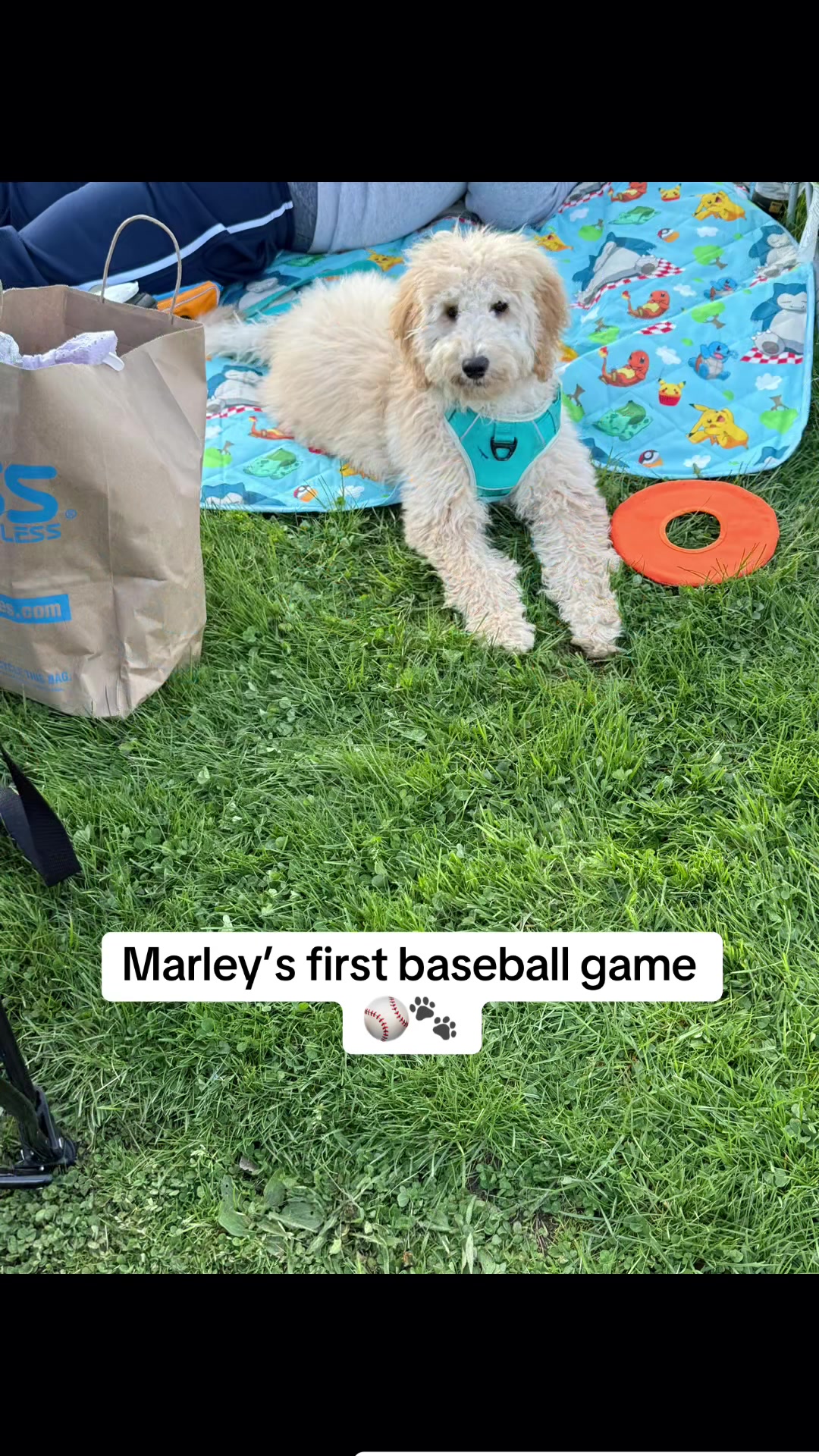 @marleymarshmallow