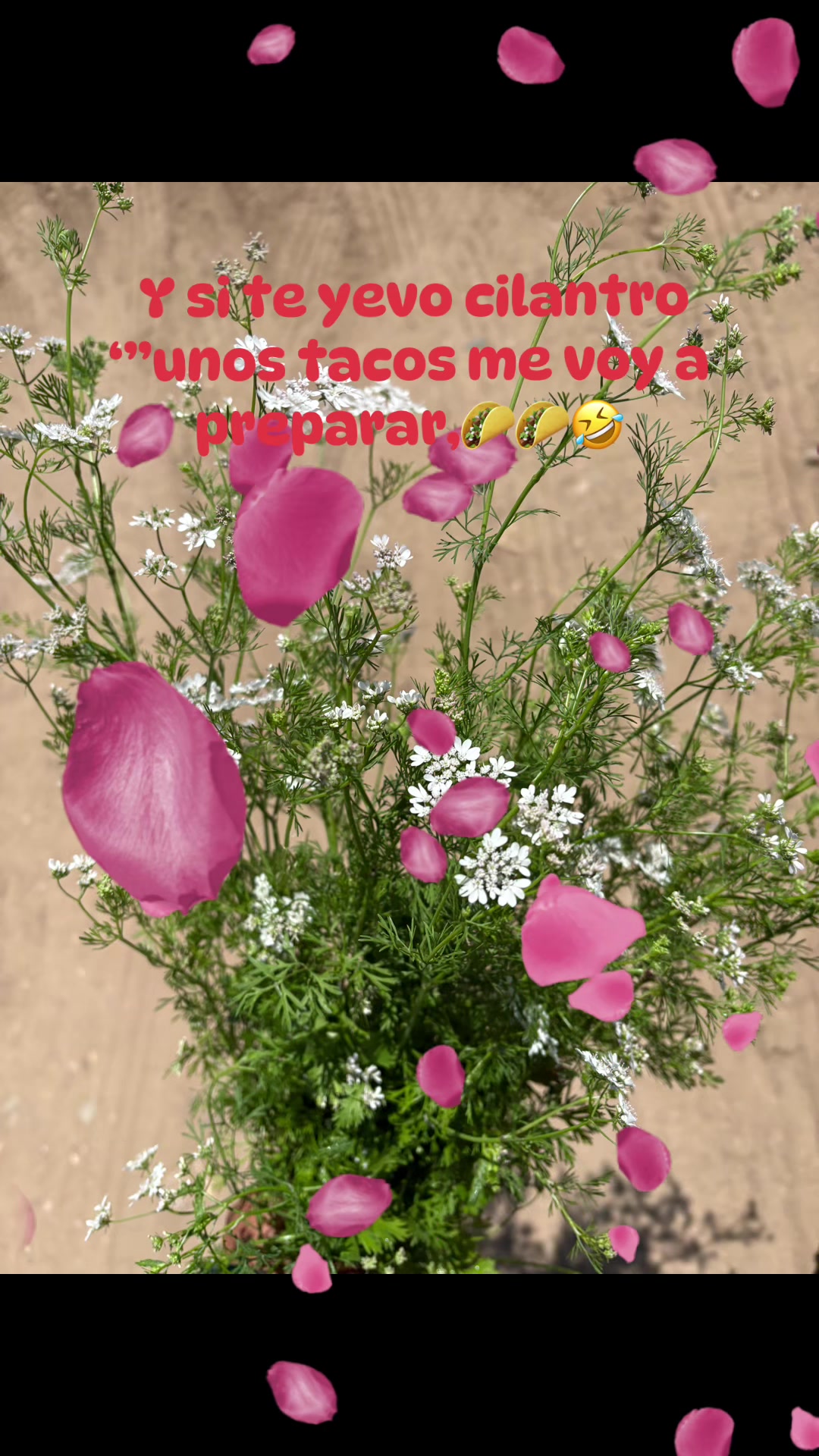 @Bere Ramirez