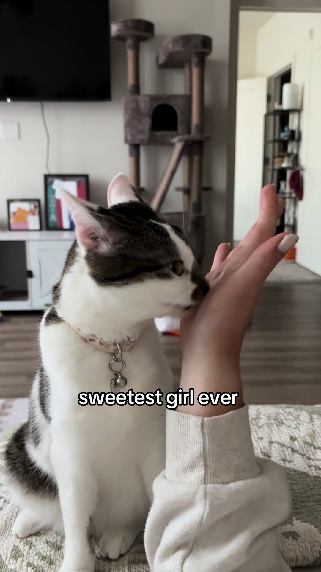 @jensen 💌 | lifestyle content