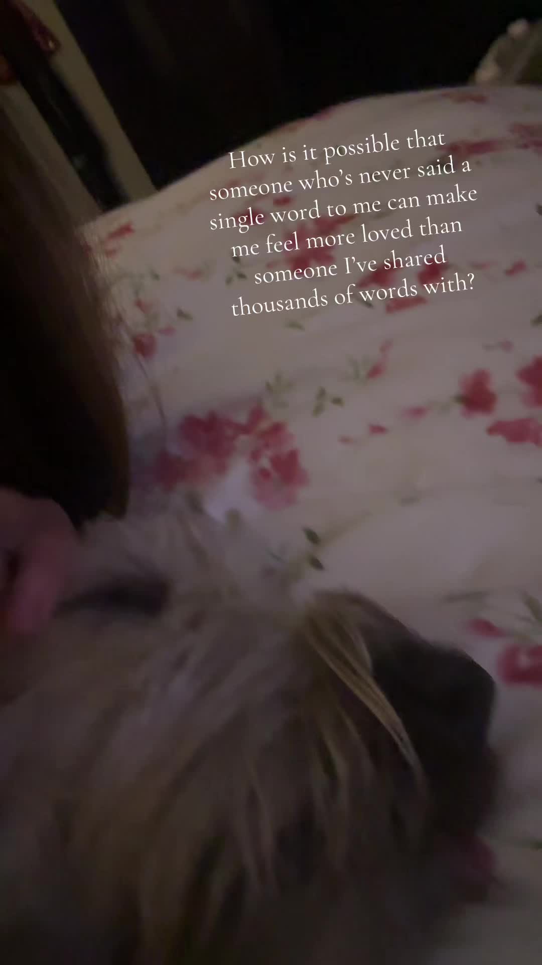 @aimeezueh❌🇺🇸