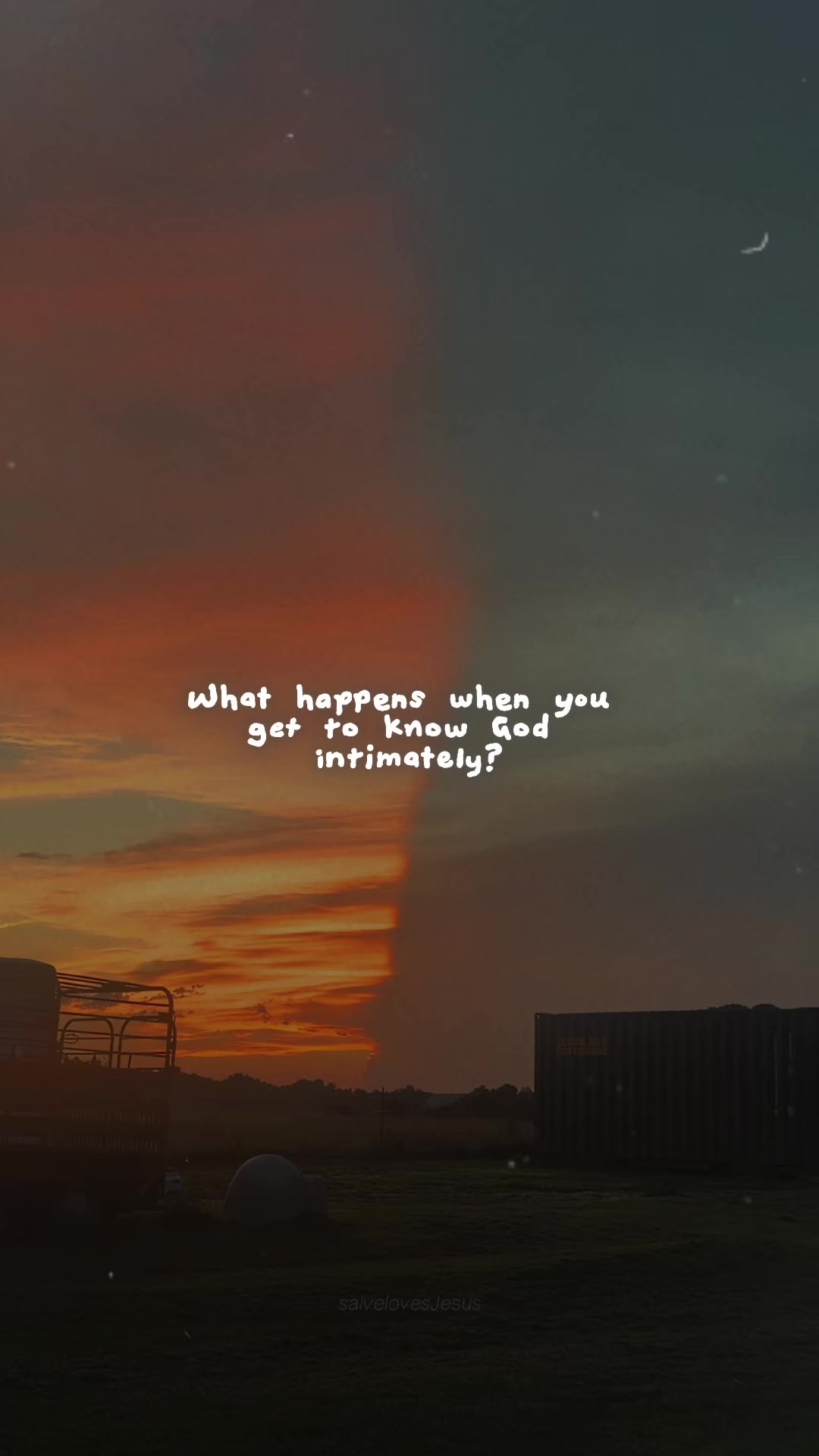 @Ash Williamson ✨