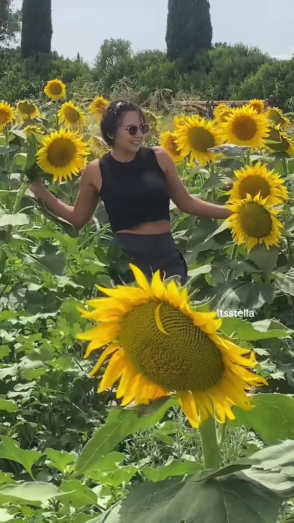 @Stella