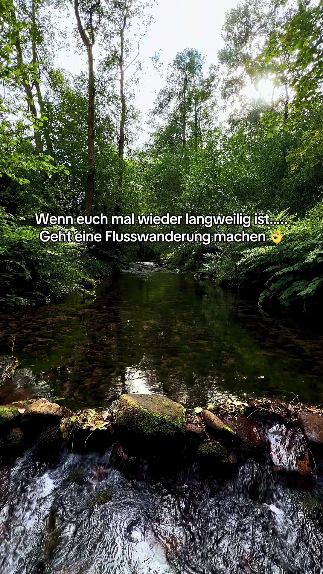 @marcbaechtold