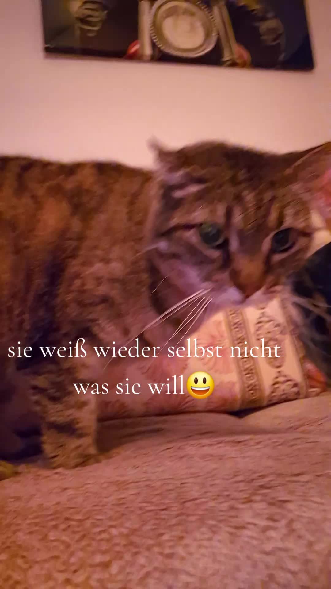 @Klausi24/7