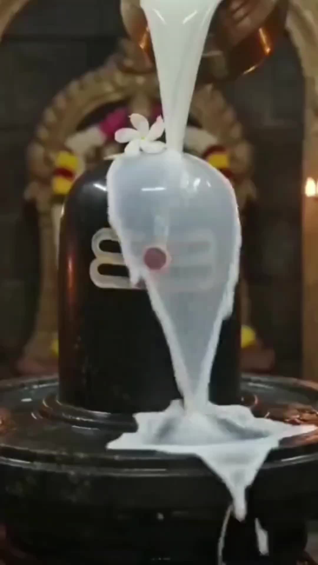 @siva siva 7071430001179