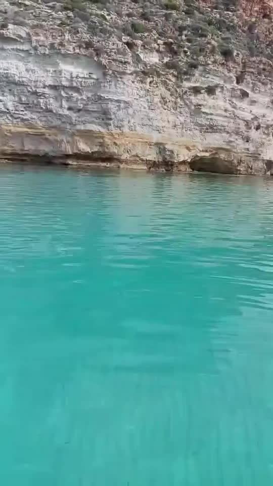 @MIKI BURGIO