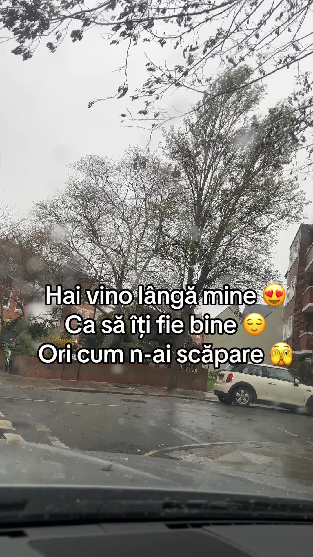 @✨ALINA✨