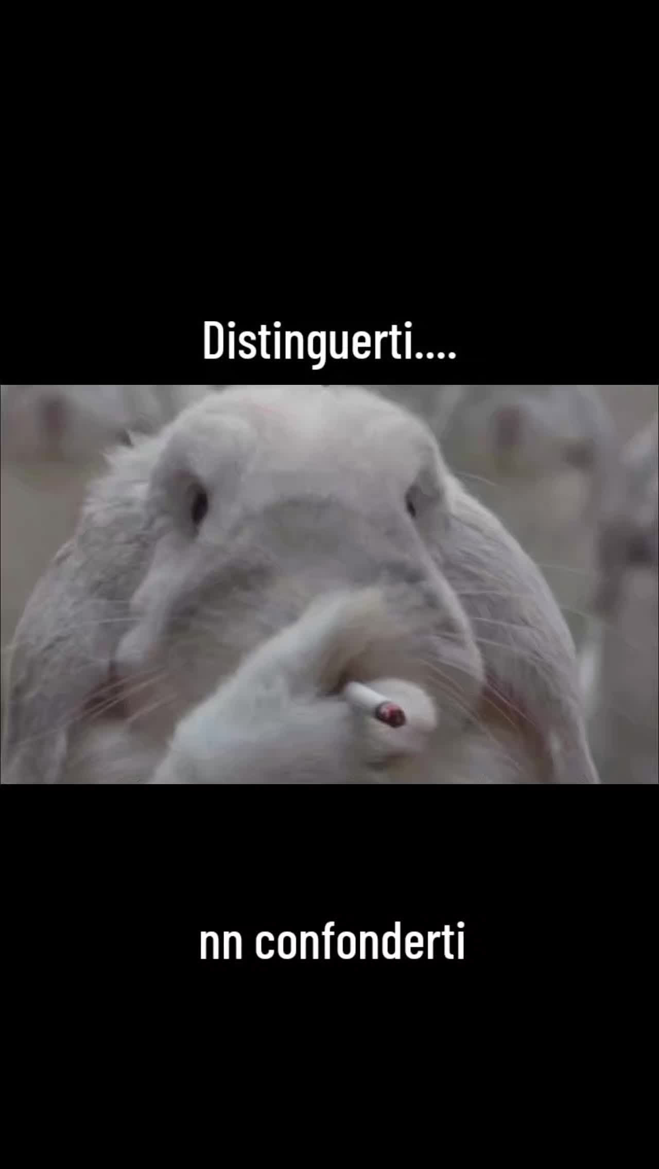@Lastregaresta
