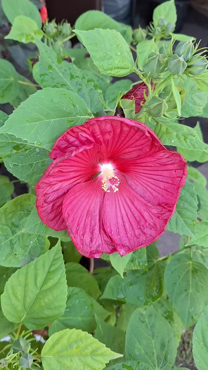 @Natur und Garten