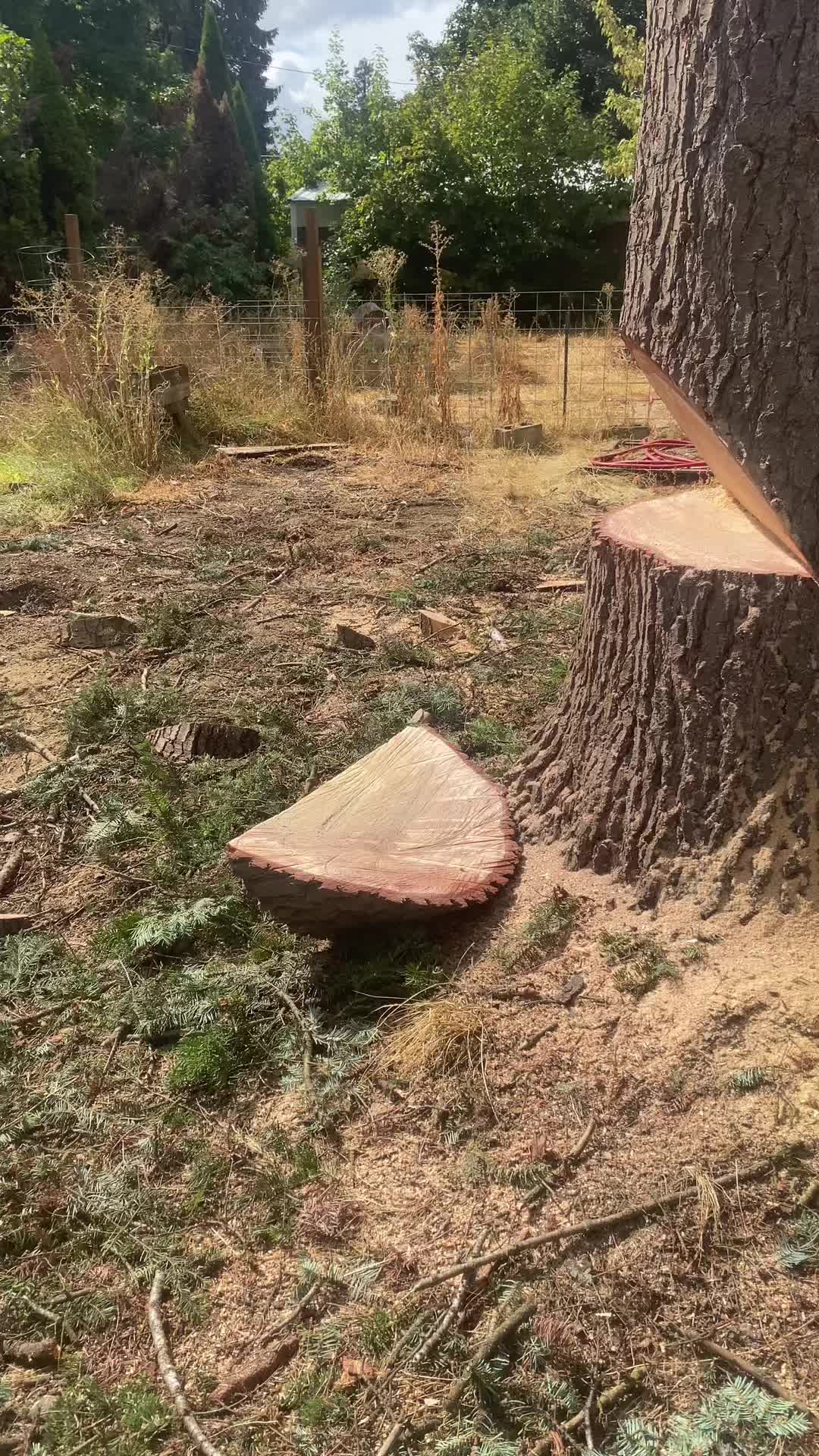 @The Tree Clique
