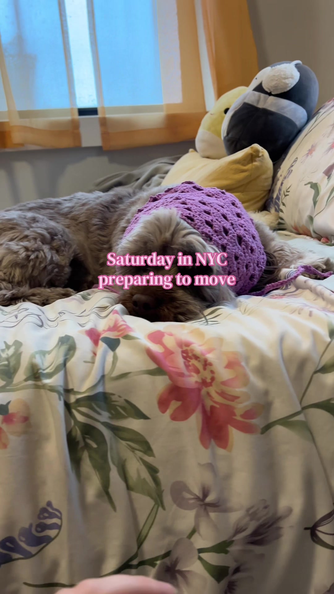 @Erin | NYC Life
