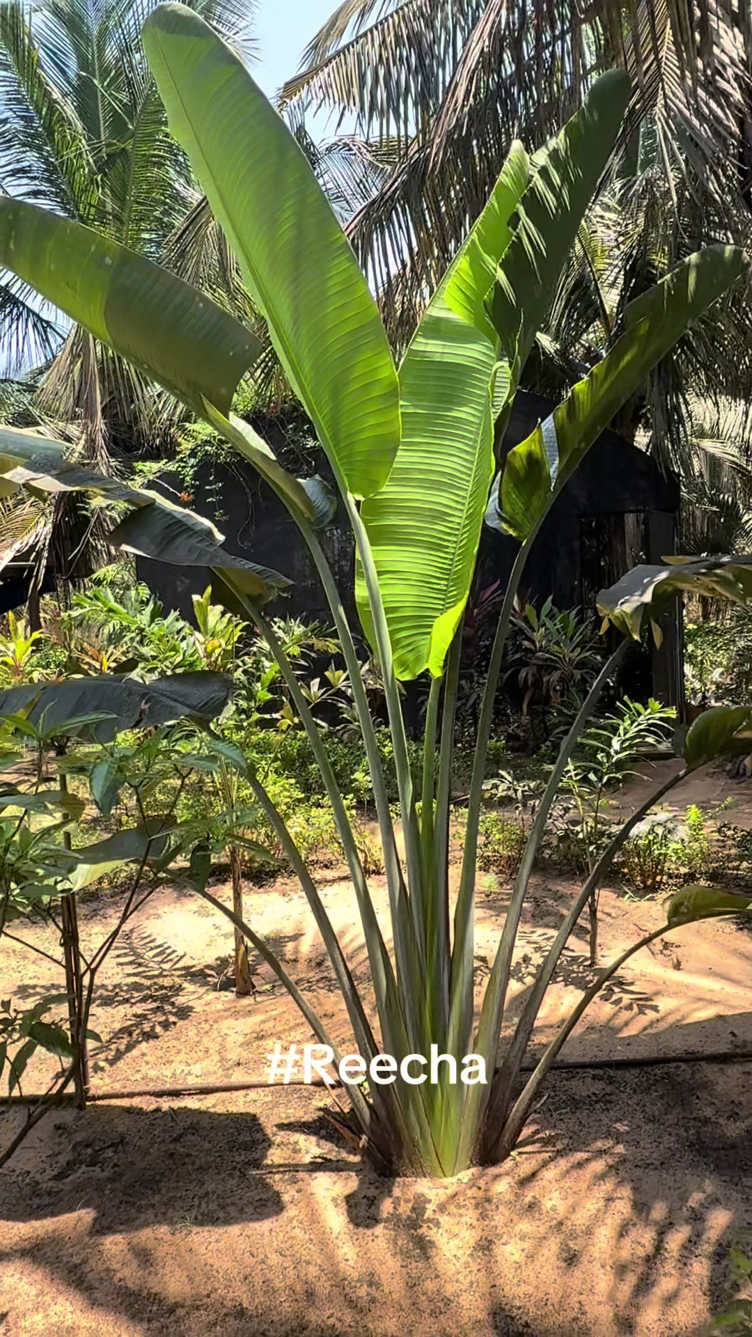 @Baskaran22