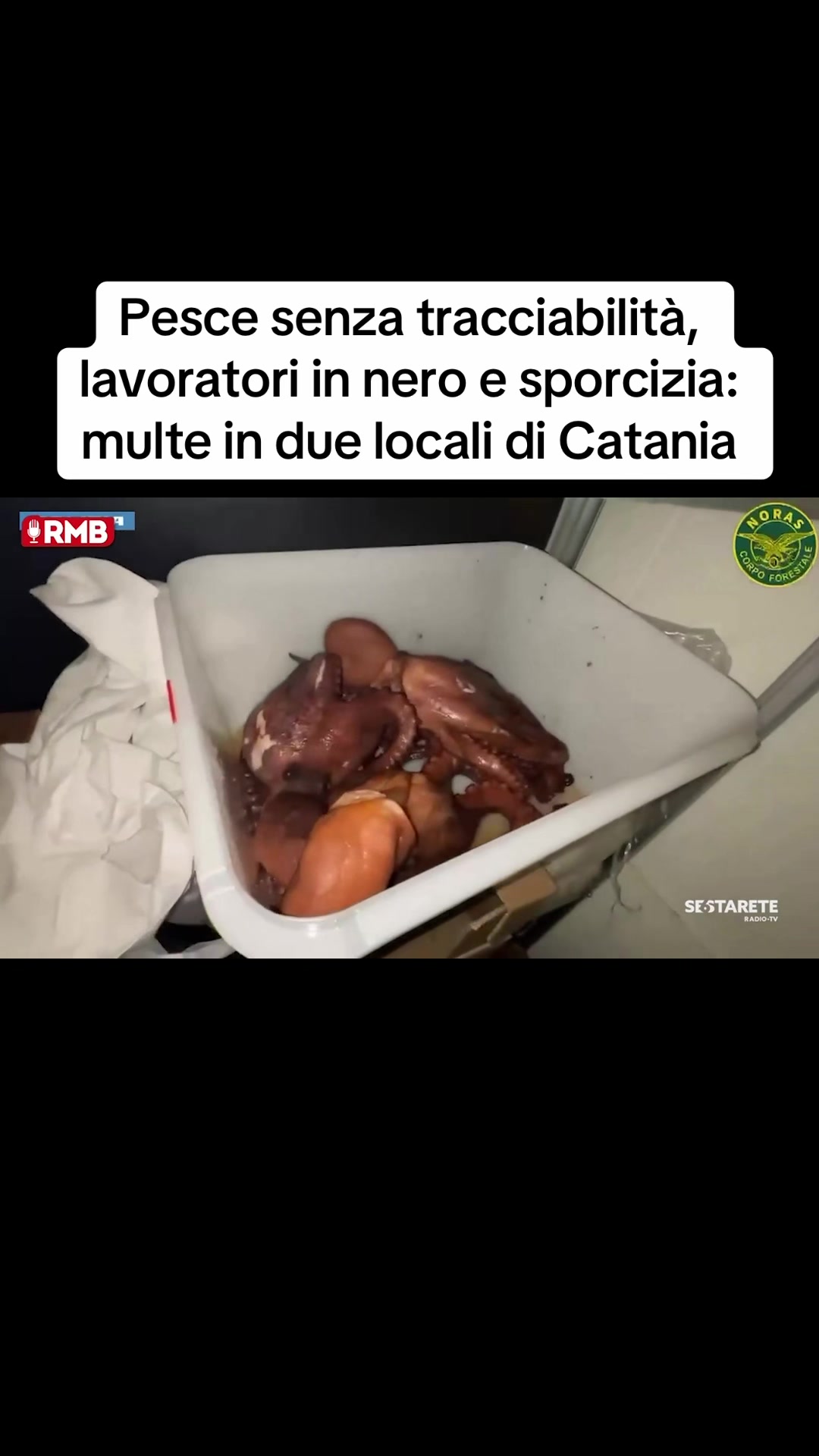 @Edoardo Picone | Giornalista