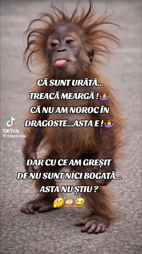 @singura a nimanui!