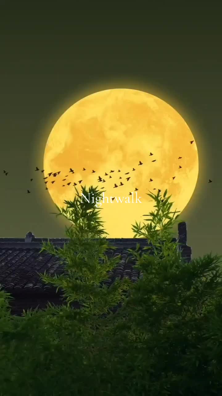 @Mr TikTok