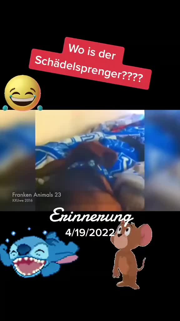 @🐗Fr&auml;nkischer-Rampen- Eber🐗