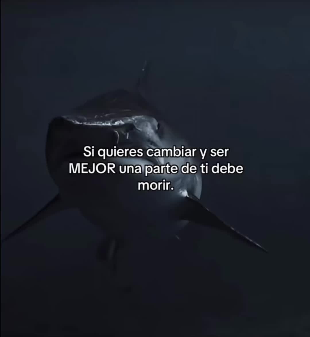 @Dijital.Com