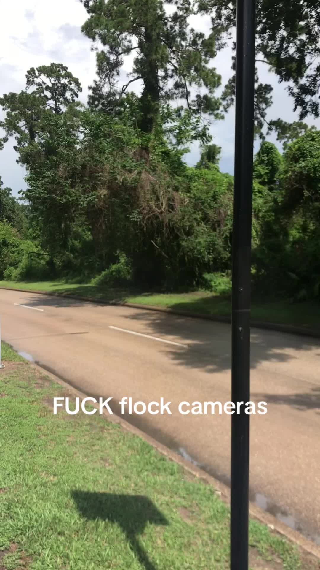 @phoebe ☭
