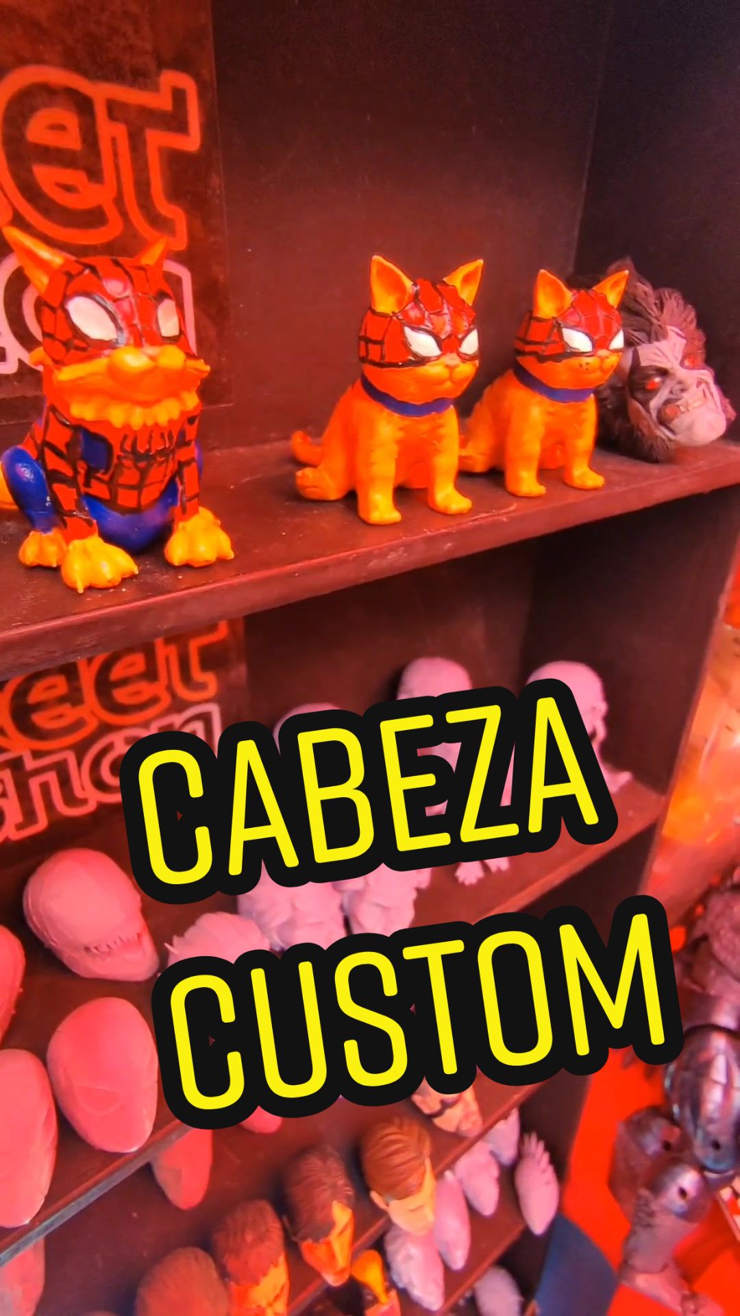 @DardoCollector